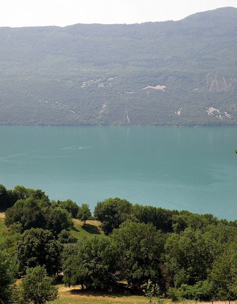 image lac du bourget bison st innocent