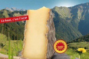 image tome des bauges